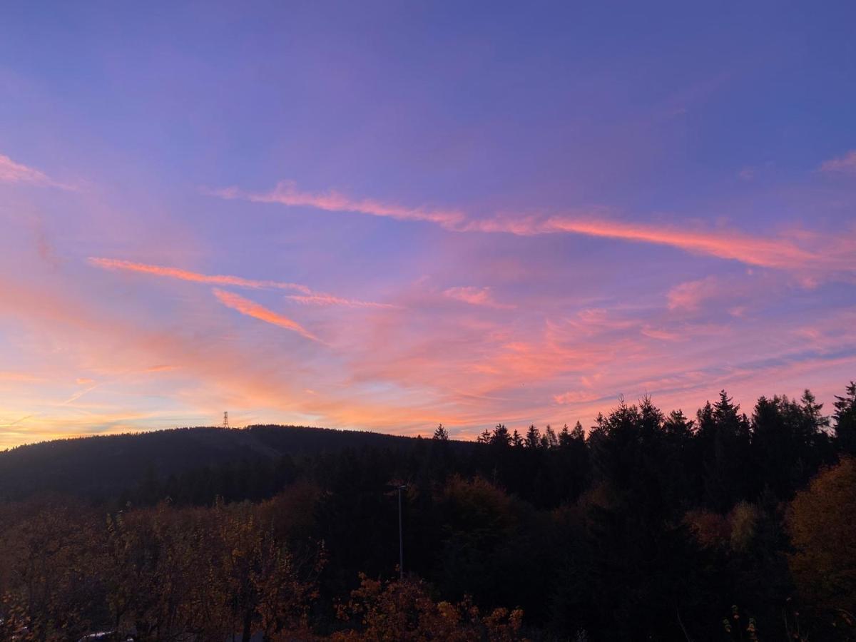 Traumhafter Harzblick Daire Goslar Dış mekan fotoğraf