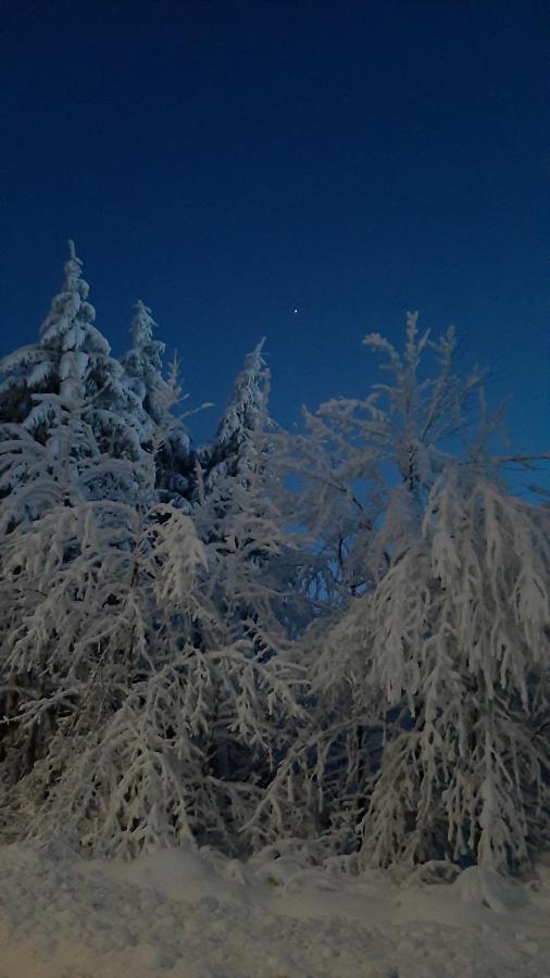 Traumhafter Harzblick Daire Goslar Dış mekan fotoğraf